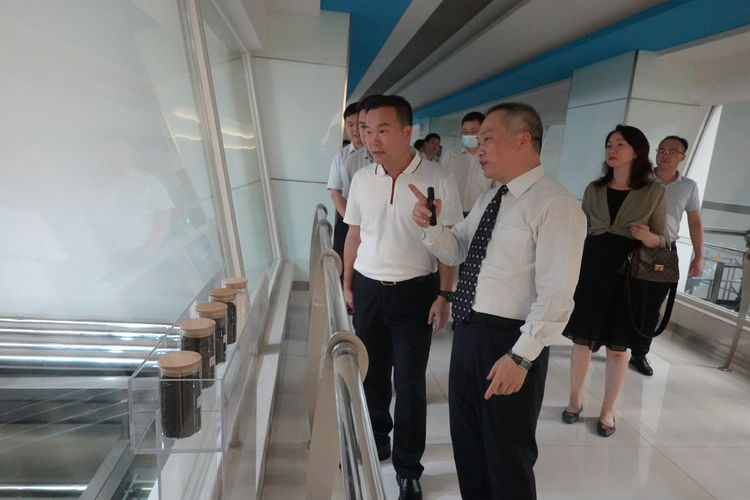 江门市蓬江区委副书记马品高一行莅临康师傅、PMI杭州基地参观指导! 江门市蓬江区委副书记马品高一行莅临康师傅、PMI杭州基地参观指导!